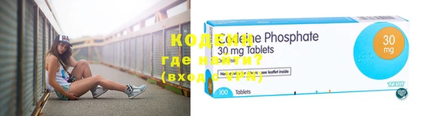 меф Ельня