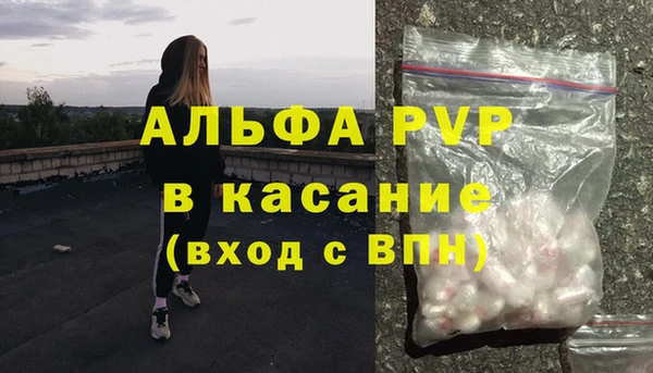 меф Ельня