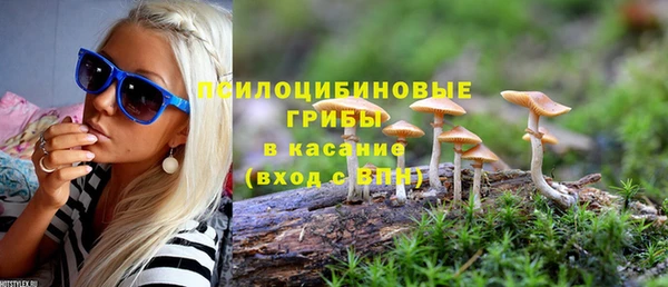 меф Ельня